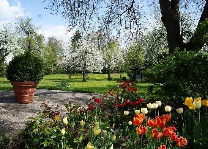 Kurheim Kreuzer-muhle *